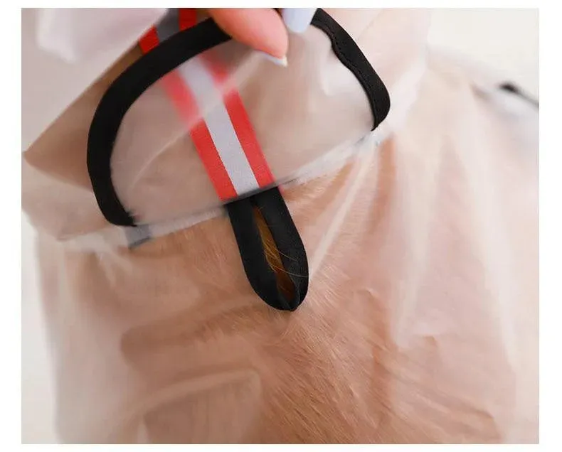 Clear Waterproof Raincoat for Pet Dogs