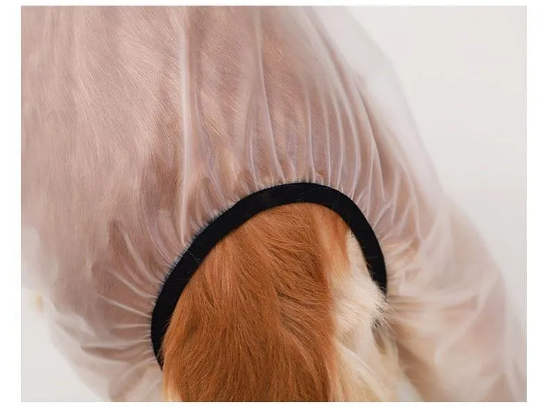 Clear Waterproof Raincoat for Pet Dogs